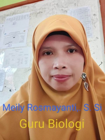 Meily Rosmayanti